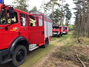 b2 - Mittelbrand