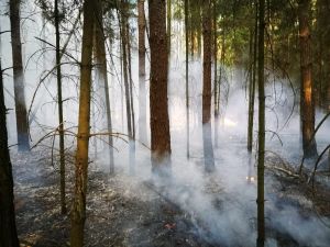 ba1 - Kleinbrand außerorts