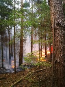 ba1 - Kleinbrand außerorts